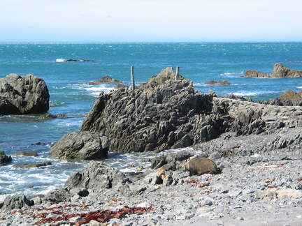 2002-03-30 11-57-44