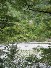 2003-03-29 13-45-06