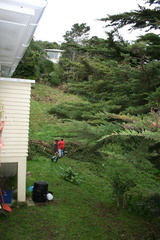 2007-08-04 11-31-02