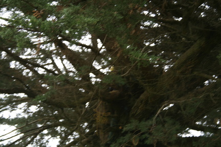 2007-08-04 11-37-26