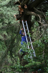 2007-08-04 12-46-07
