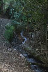2007-08-26 14-34-25