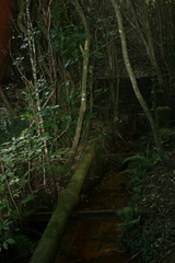 2007-08-26 14-36-52