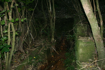 2007-08-26 14-37-20