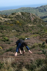 2008-04-13 11-07-08