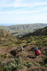 2008-04-13 11-07-45