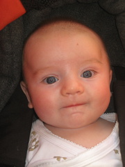 2008-05-15 17-12-13