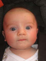 2008-05-15 17-12-25