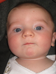2008-05-15 17-12-34
