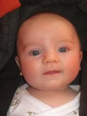 2008-05-15 17-12-42