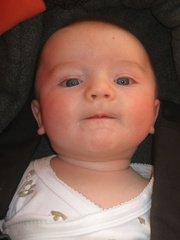 2008-05-15 17-12-58