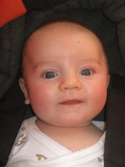 2008-05-15 17-13-04