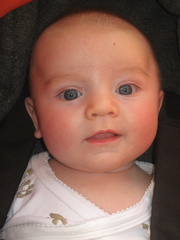 2008-05-15 17-13-13