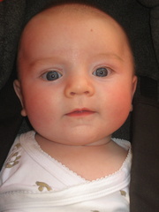2008-05-15 17-13-21