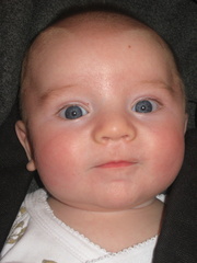 2008-05-15 17-13-53