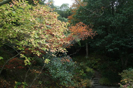 2008-05-18 11-25-39