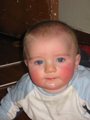 2008-08-13 08-02-16