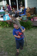 2009-01-15 17-59-49