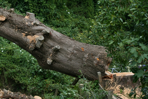 2009-02-26 13-37-031