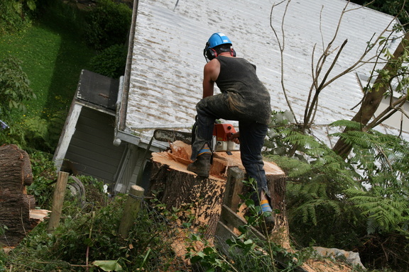 2009-02-26 13-38-23
