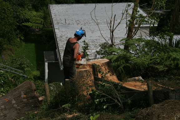 2009-02-26 13-41-201
