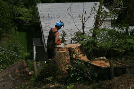 2009-02-26 13-41-201