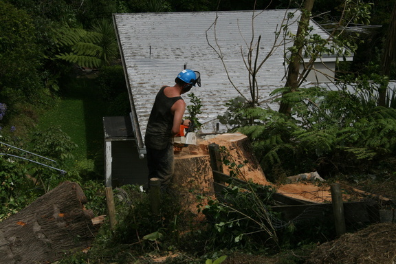 2009-02-26 13-41-202