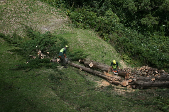 2009-02-26 13-42-13