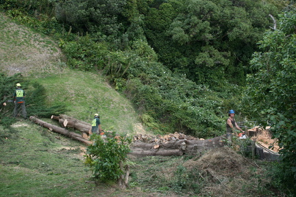 2009-02-26 13-43-01