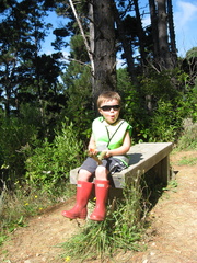 2009-03-29 11-34-19