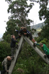 2009-04-05 12-21-31