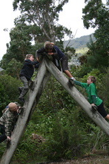 2009-04-05 12-21-32