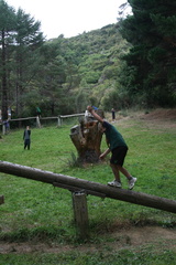2009-04-05 12-28-18