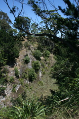 2009-12-30 11-55-12