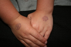 2010-01-20 11-27-40
