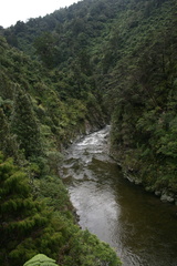 2010-06-05 15-43-29