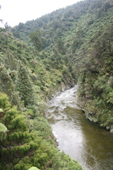 2010-06-05 15-43-36