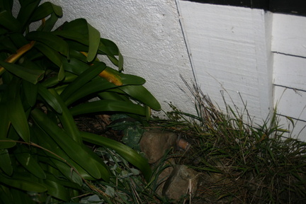 2010-06-05 17-00-43