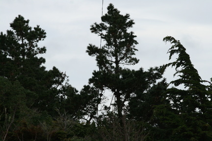2010-06-24 10-18-31