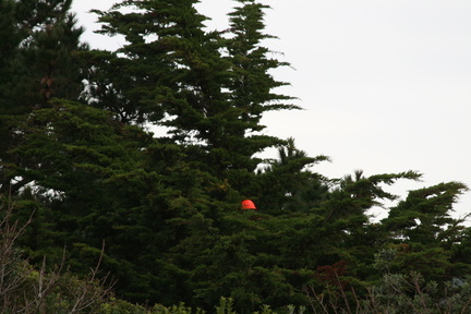 2010-06-24 10-19-54