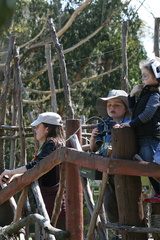 2010-09-27 12-54-49