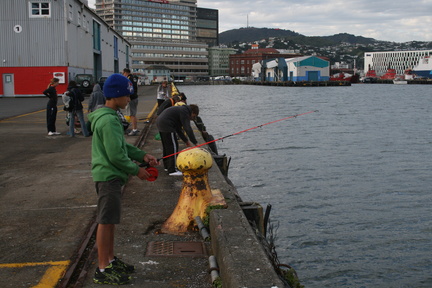 2010-11-23 19-00-16