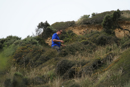 2011-01-30 15-09-15