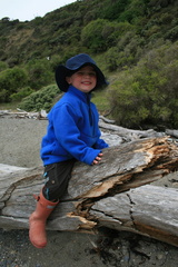 2011-01-30 15-29-10