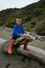 2011-01-30 15-30-05