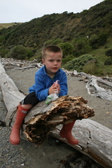 2011-01-30 15-30-29