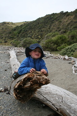2011-01-30 15-31-51