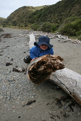 2011-01-30 15-31-57