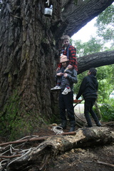 2011-07-03 14-42-19