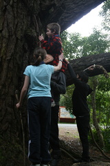 2011-07-03 14-43-01